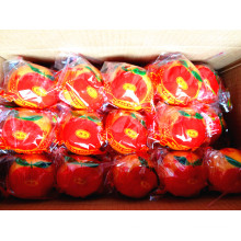 10kgs / Carton De Qualité Chinoise À La Mandarine Frais